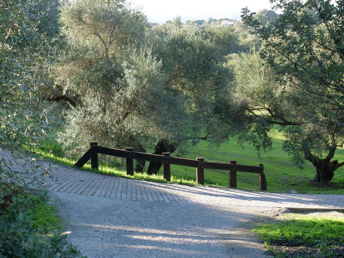Villa Maria Montecastillo Golf Jerez de la Frontera Exterior foto